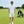 Load image into Gallery viewer, IZREEL ナイロンハーフPT / WH
